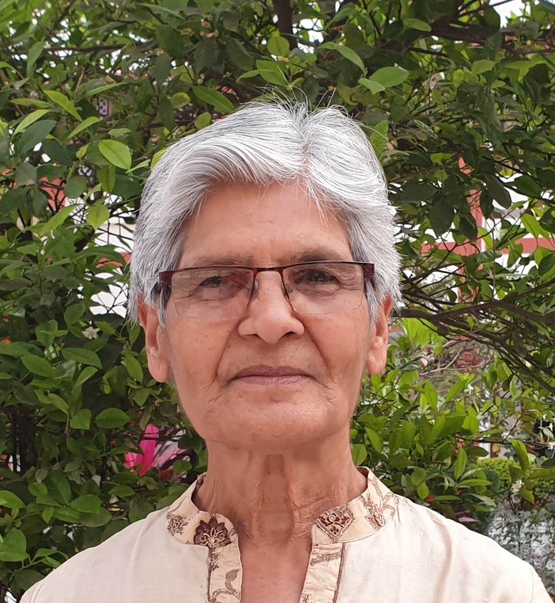 Dr Sheela Daga (Vidyalankar)